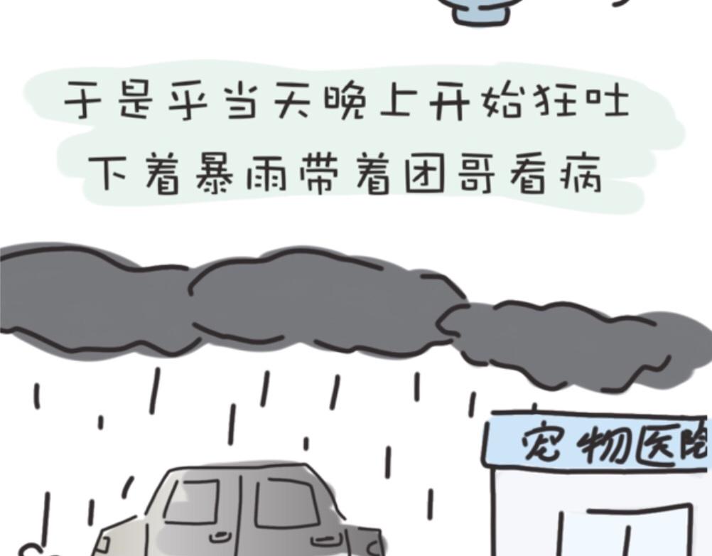 《团哥二三事》团哥二三事之生病篇 第5页