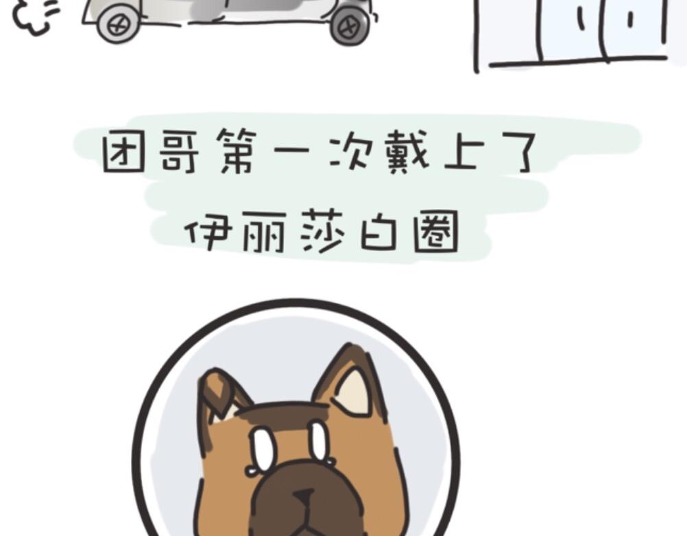 《团哥二三事》团哥二三事之生病篇 第6页