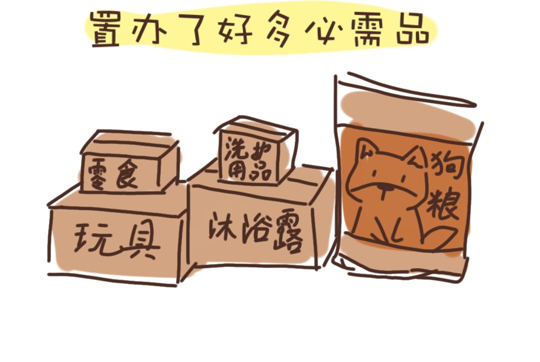 《团哥二三事》团哥二三事之网购 第17页