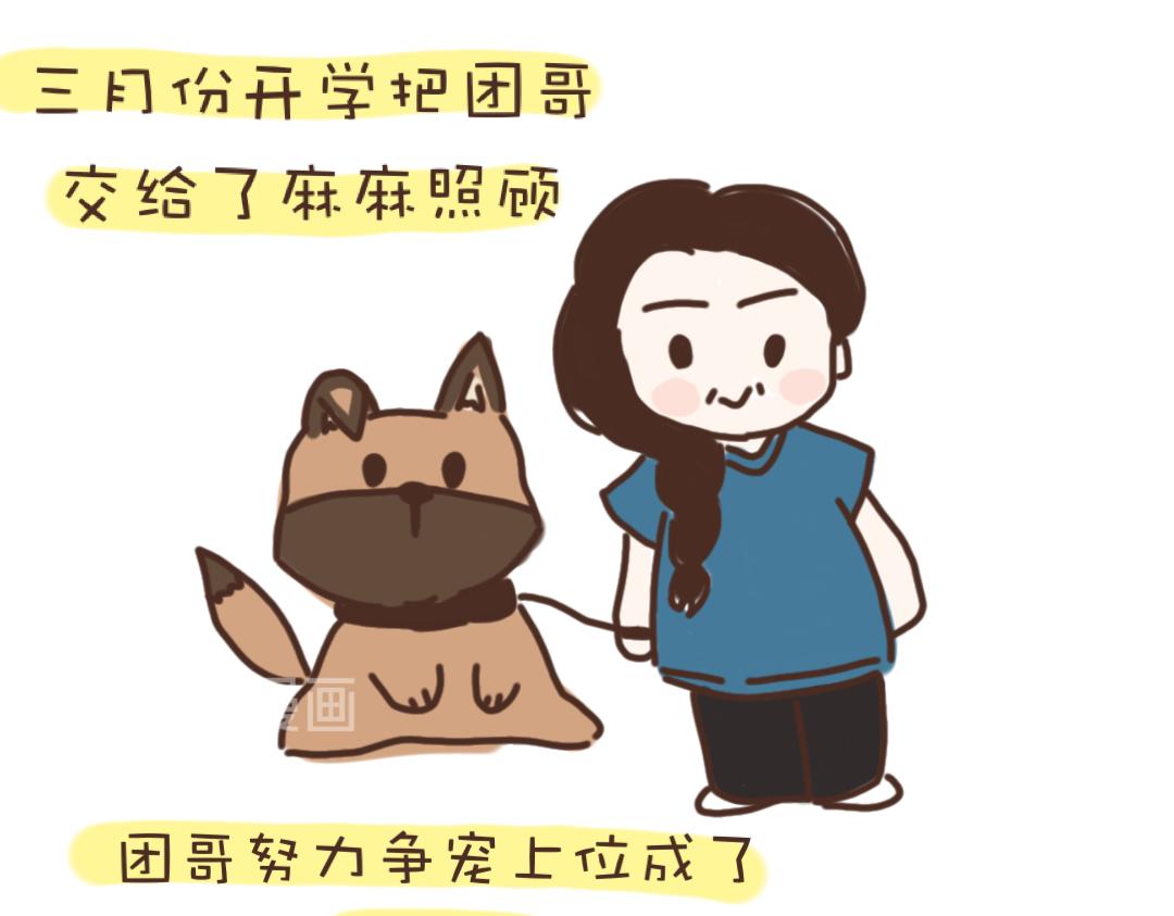 《团哥二三事》团哥二三事之网购 第3页