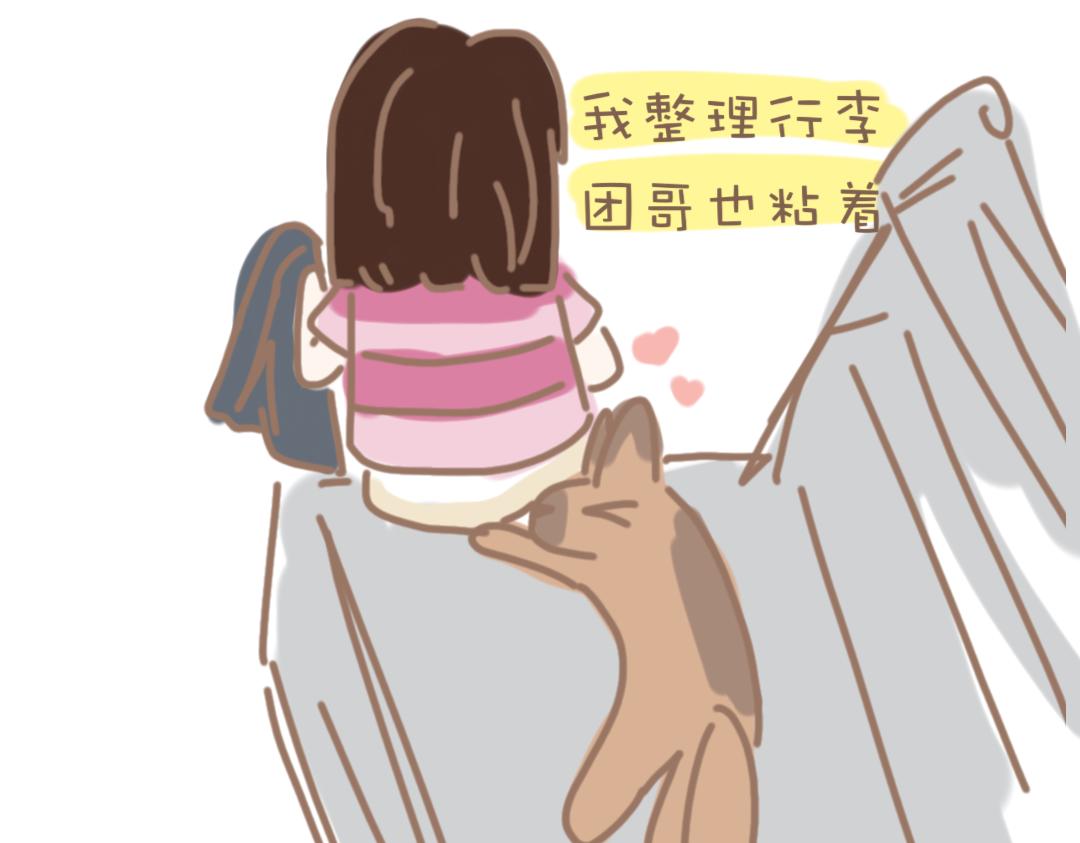 《团哥二三事》团哥二三事之粘人精篇 第13页