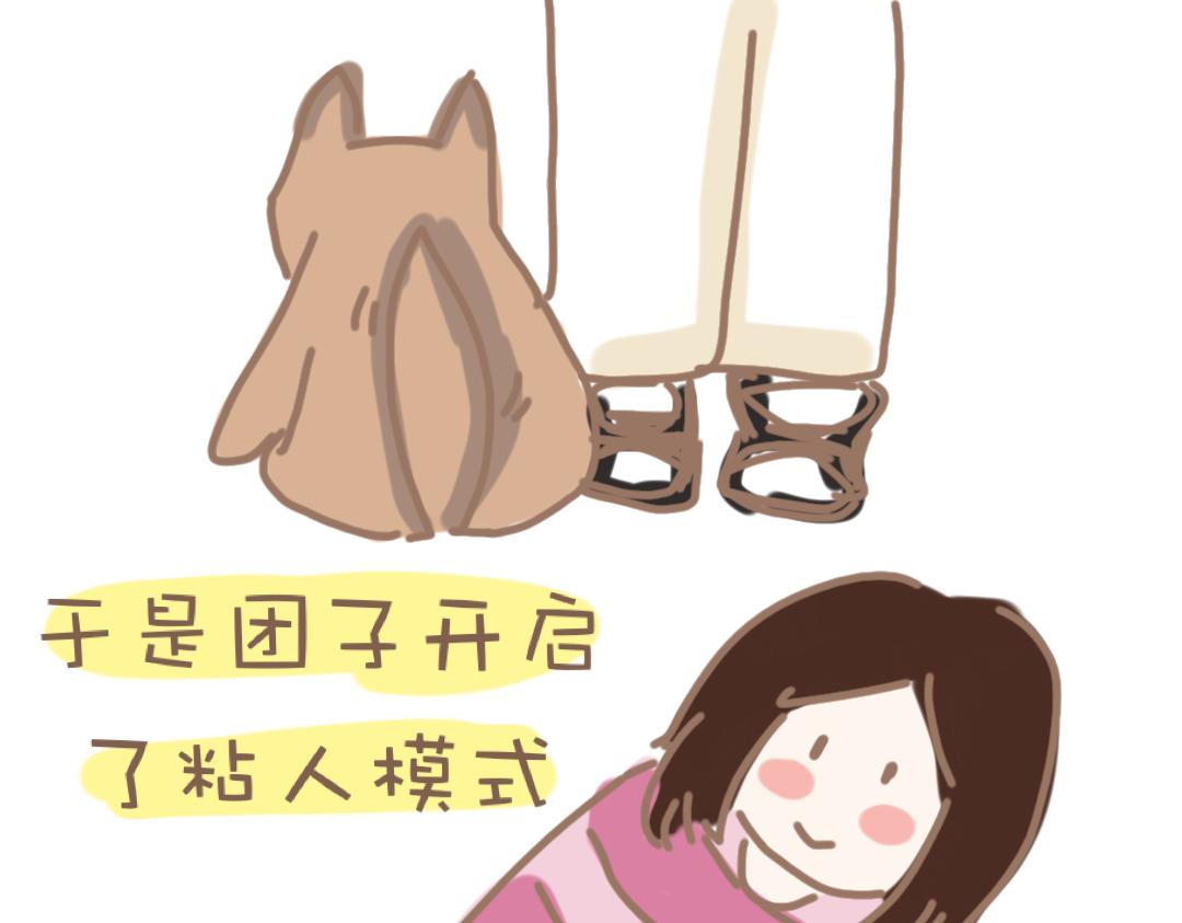 《团哥二三事》团哥二三事之粘人精篇 第8页