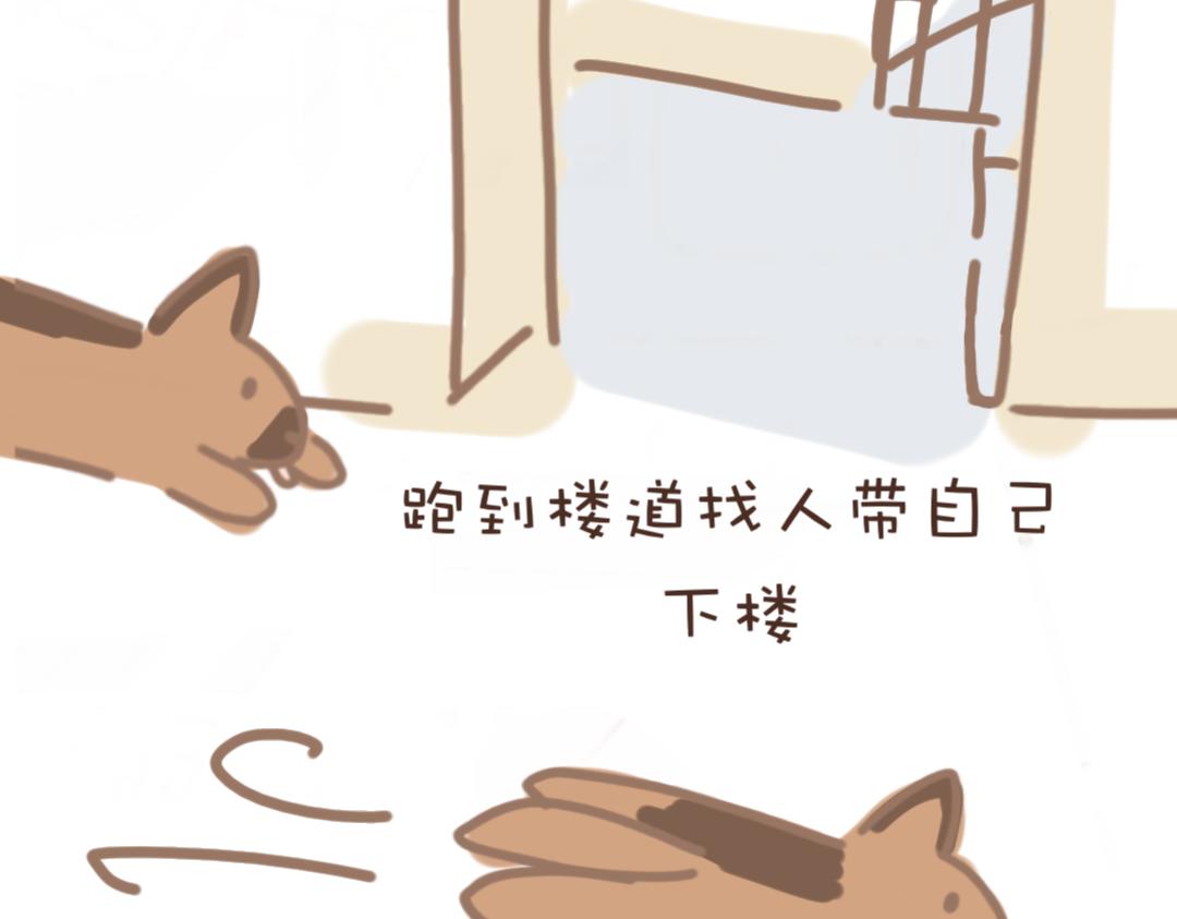《团哥二三事》团哥二三事之越狱篇 第16页
