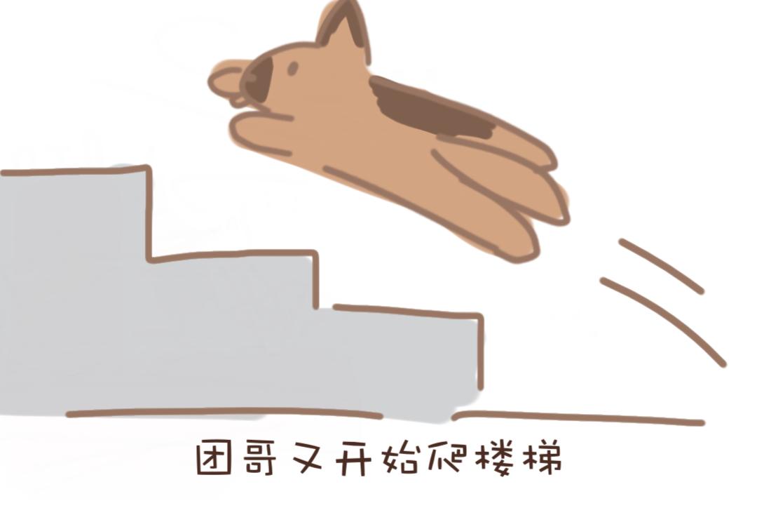 《团哥二三事》团哥二三事之越狱篇 第27页