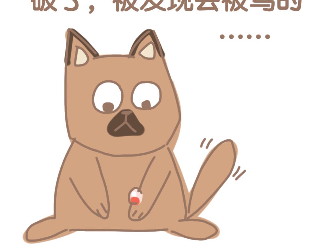《团哥二三事》团子二三事之蚊子篇 第11页