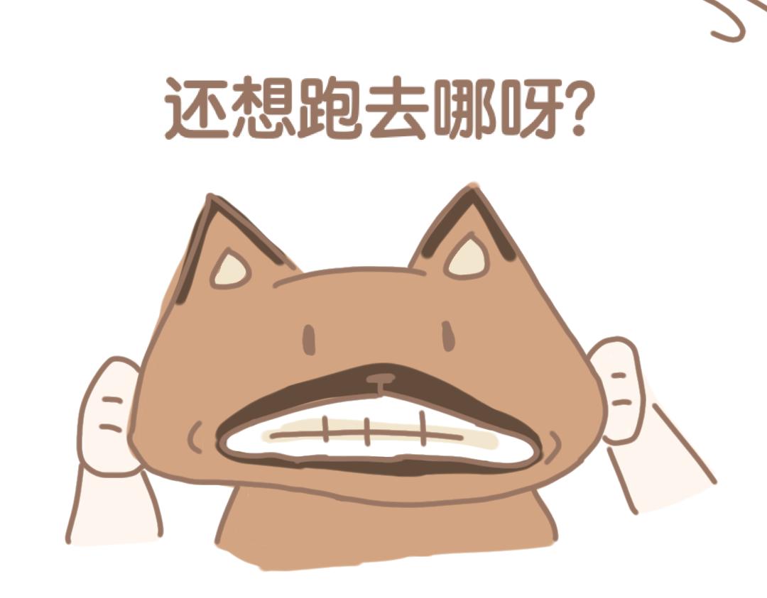 《团哥二三事》团子二三事之蚊子篇 第16页