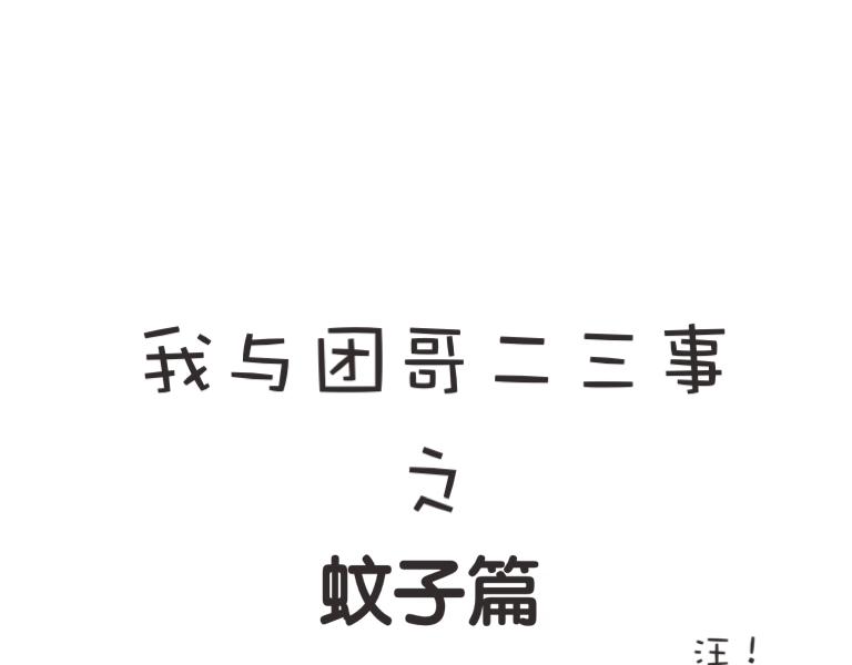 《团哥二三事》团子二三事之蚊子篇 第1页