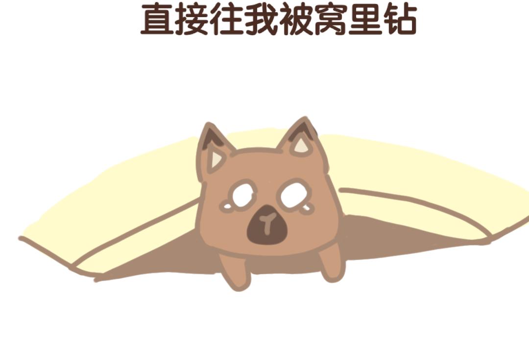 《团哥二三事》团哥二三事之打雷篇 第12页
