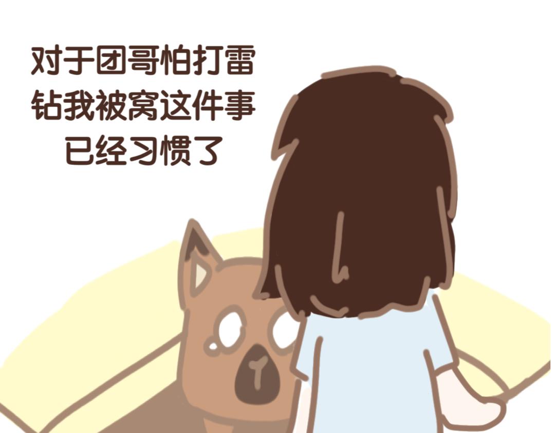 《团哥二三事》团哥二三事之打雷篇 第13页