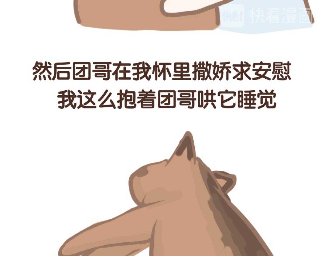 《团哥二三事》团哥二三事之打雷篇 第19页