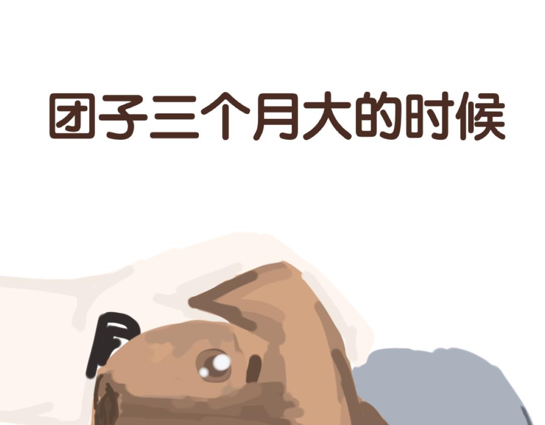 《团哥二三事》团哥二三事之打雷篇 第3页