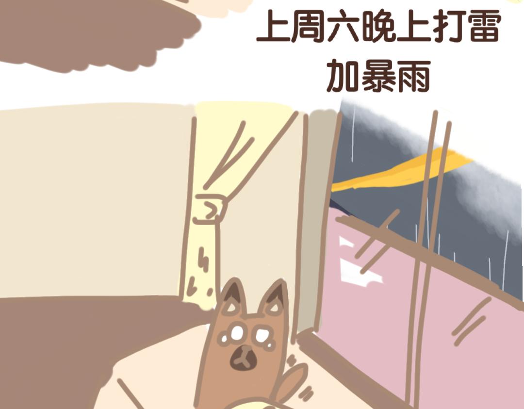 《团哥二三事》团哥二三事之打雷篇 第9页