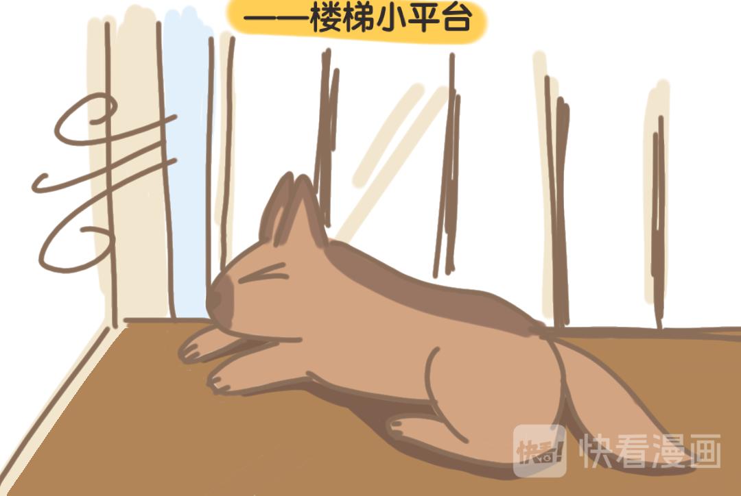 《团哥二三事》团哥二三事之空调篇 第12页