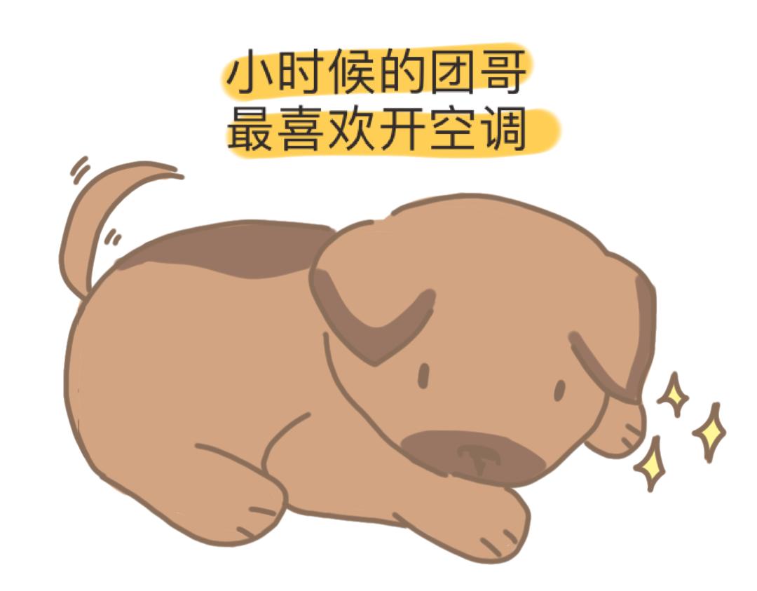 《团哥二三事》团哥二三事之空调篇 第13页