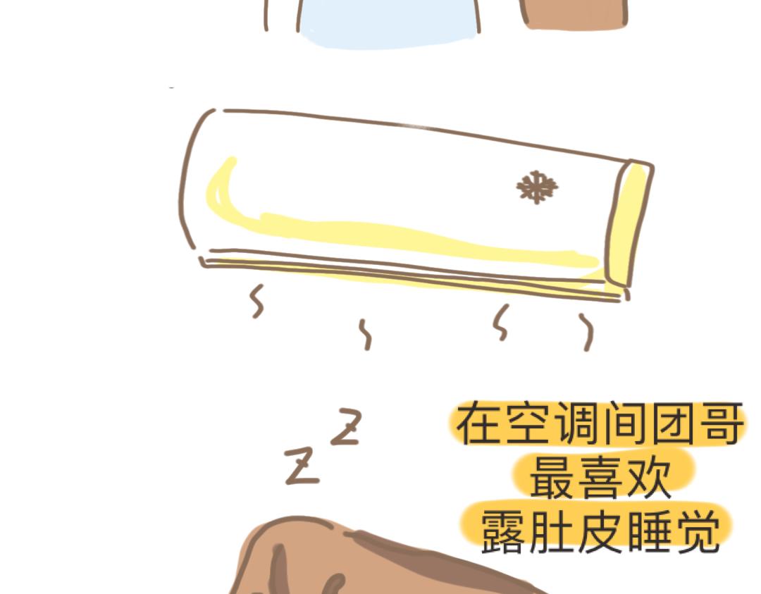 《团哥二三事》团哥二三事之空调篇 第15页