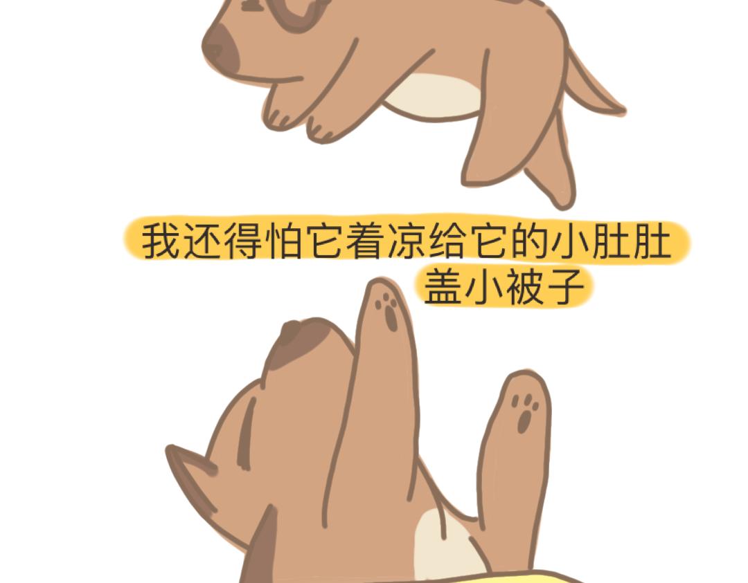 《团哥二三事》团哥二三事之空调篇 第16页