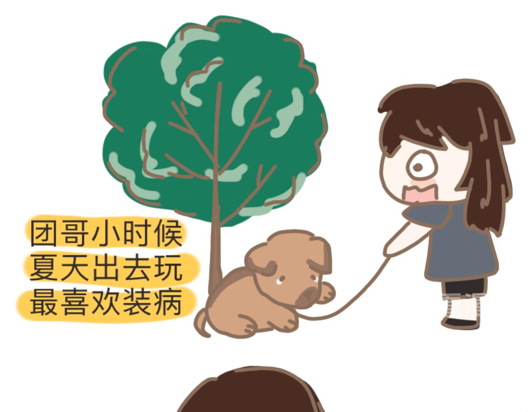 《团哥二三事》团哥二三事之空调篇 第18页
