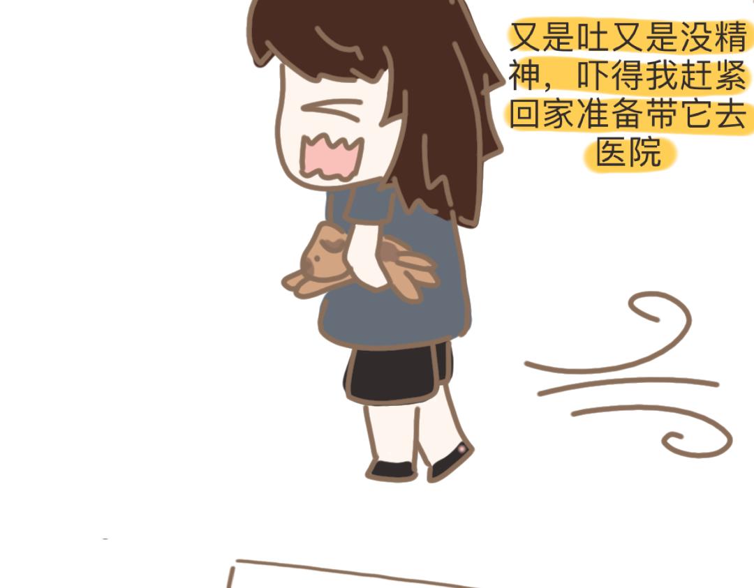 《团哥二三事》团哥二三事之空调篇 第19页