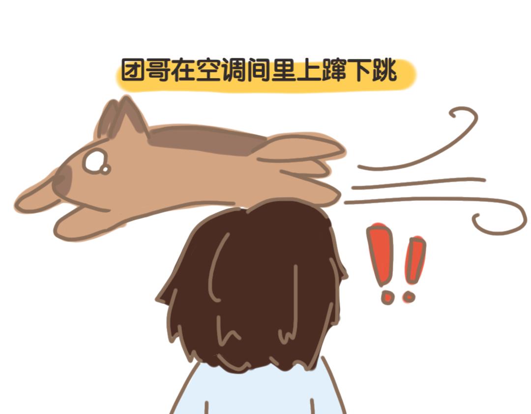 《团哥二三事》团哥二三事之空调篇 第8页
