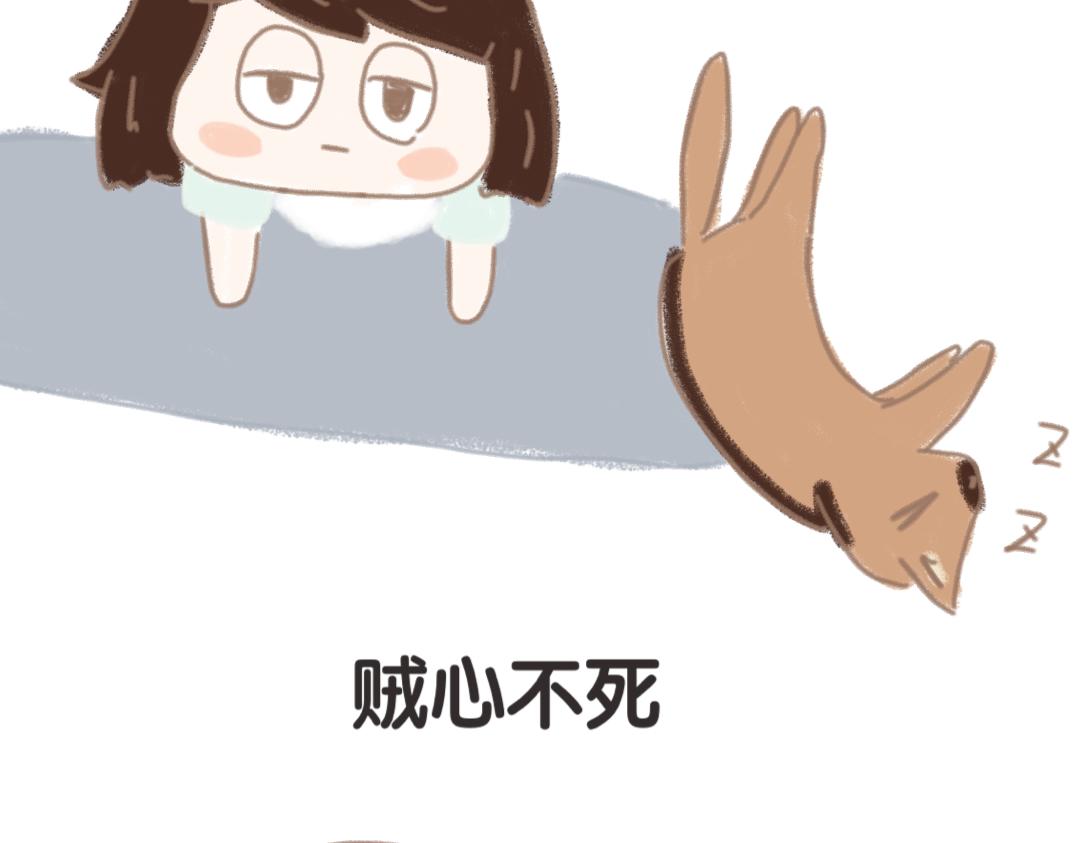 《团哥二三事》团哥二三事之意外篇 第11页