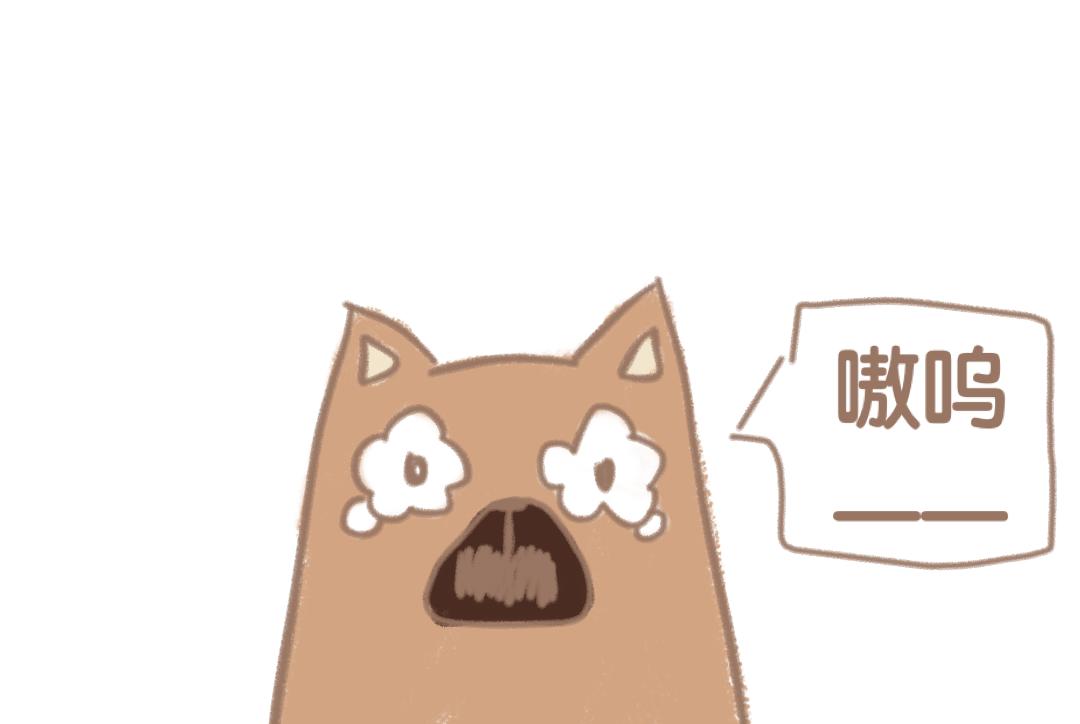 《团哥二三事》团哥二三事之意外篇 第22页