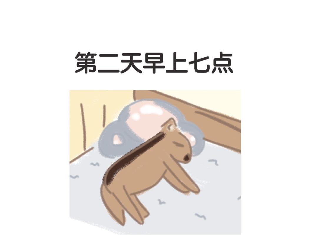 《团哥二三事》团哥二三事之意外篇 第23页