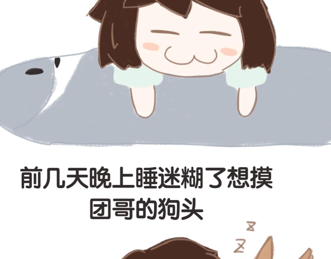 《团哥二三事》团哥二三事之意外篇 第5页