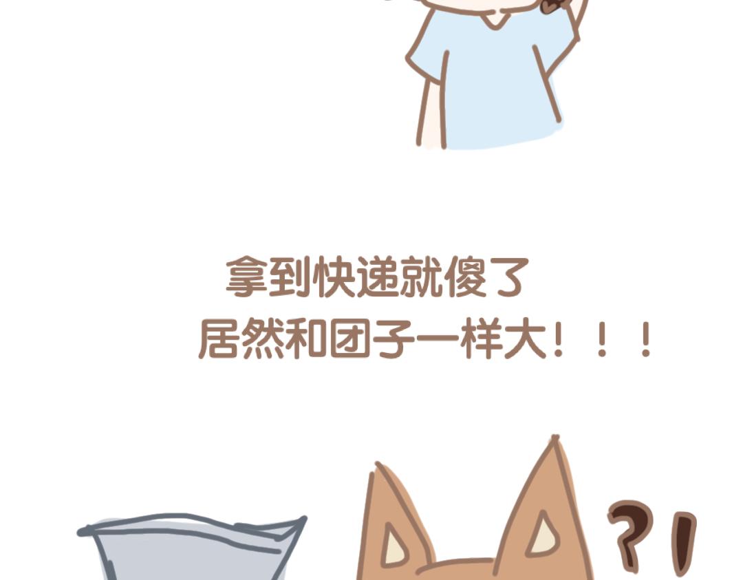 《团哥二三事》团哥二三事之细致篇 第11页