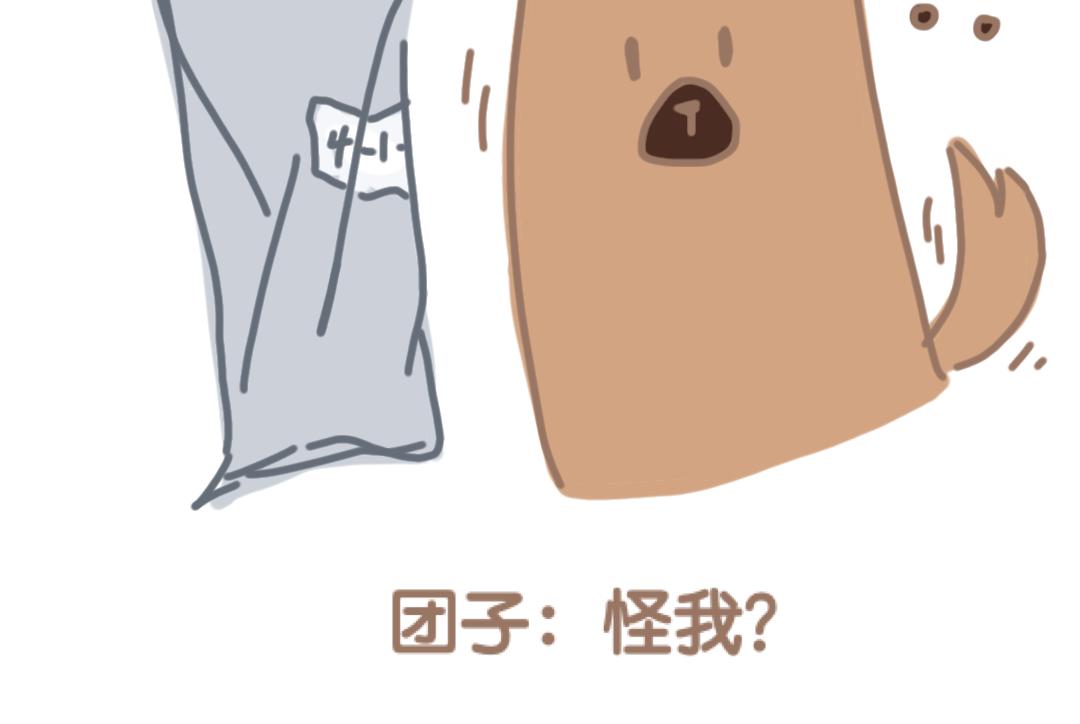 《团哥二三事》团哥二三事之细致篇 第12页