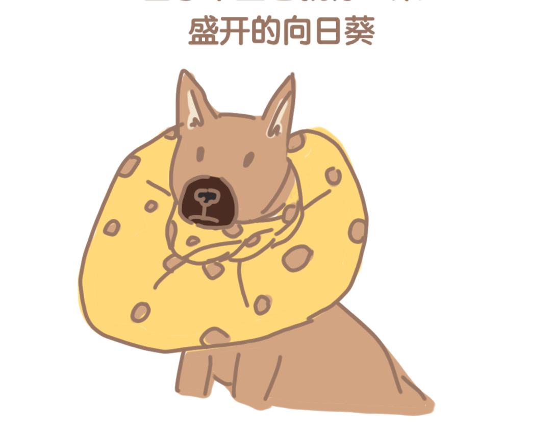《团哥二三事》团哥二三事之细致篇 第15页