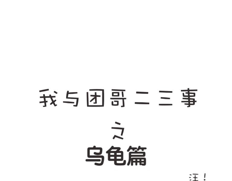 《团哥二三事》团哥二三事之日常篇 第13页