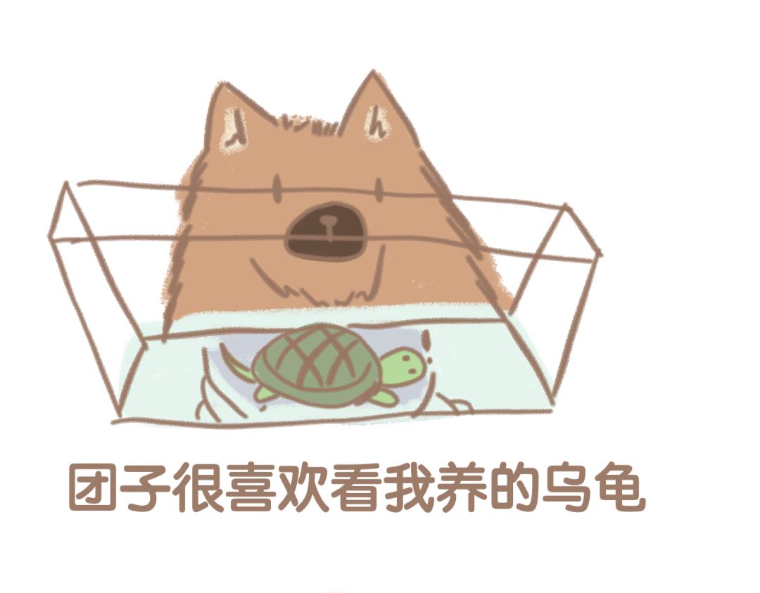 《团哥二三事》团哥二三事之日常篇 第15页