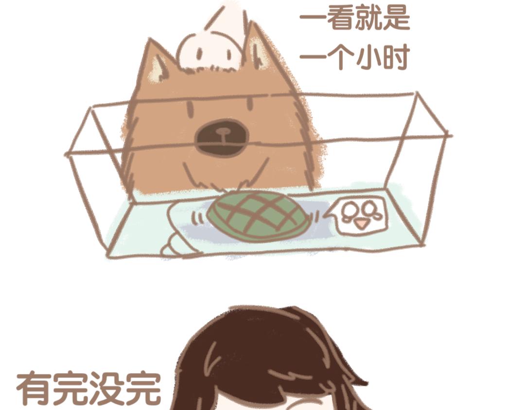 《团哥二三事》团哥二三事之日常篇 第16页