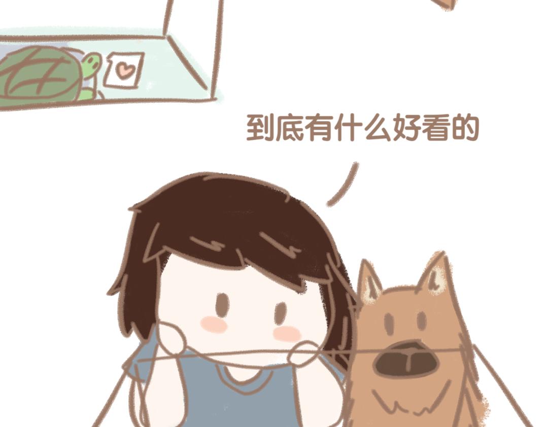 《团哥二三事》团哥二三事之日常篇 第18页