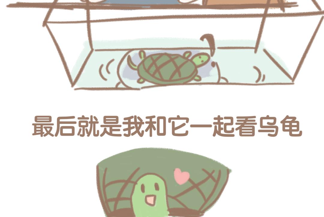 《团哥二三事》团哥二三事之日常篇 第19页