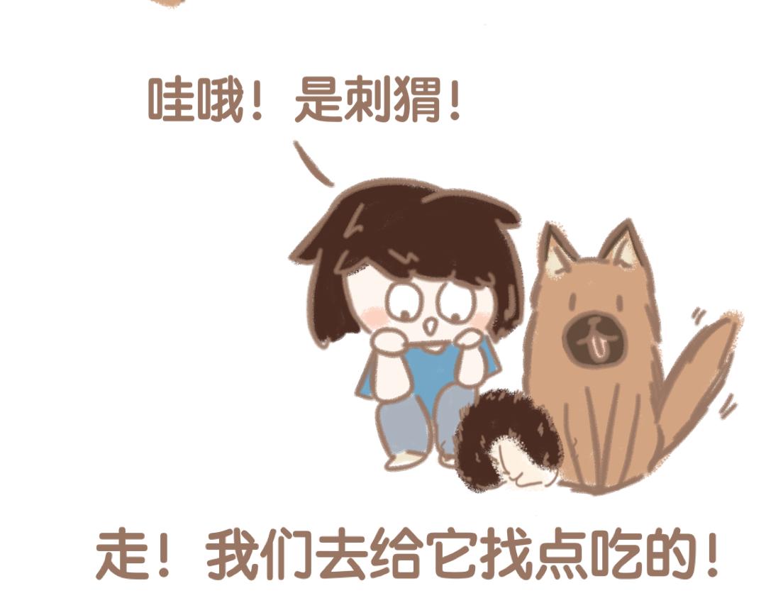 《团哥二三事》团哥二三事之日常篇 第5页