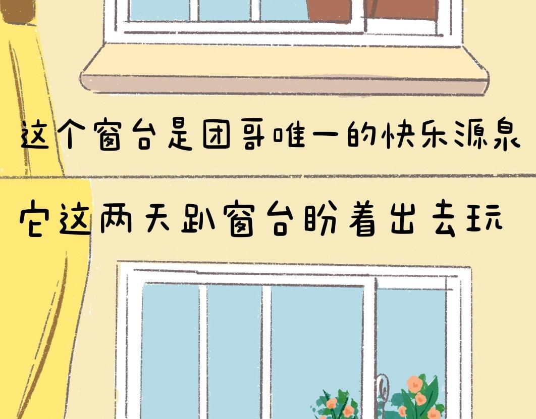 《团哥二三事》团哥二三事之录音篇 第5页