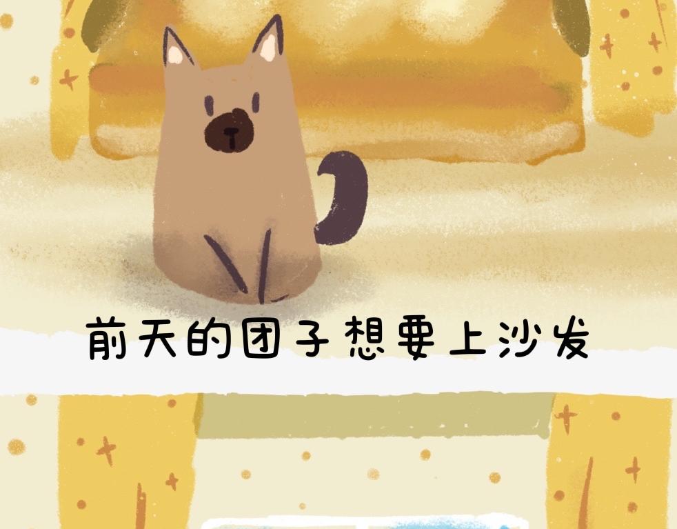 《团哥二三事》团哥二三事之实木沙发篇 第10页
