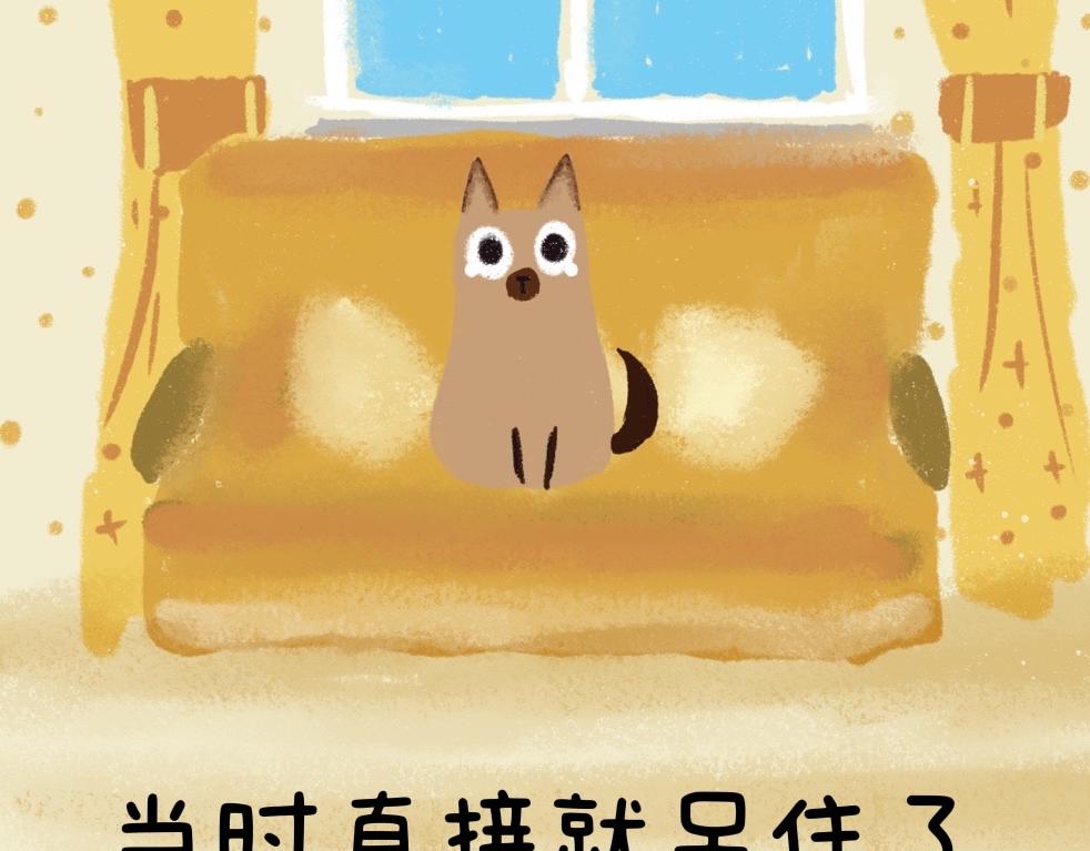 《团哥二三事》团哥二三事之实木沙发篇 第13页