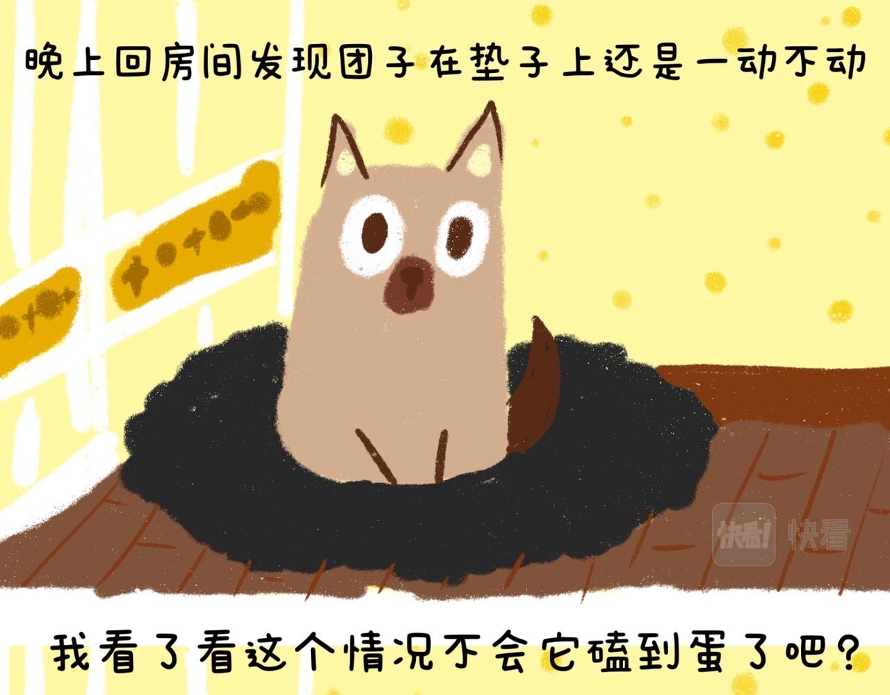 《团哥二三事》团哥二三事之实木沙发篇 第15页