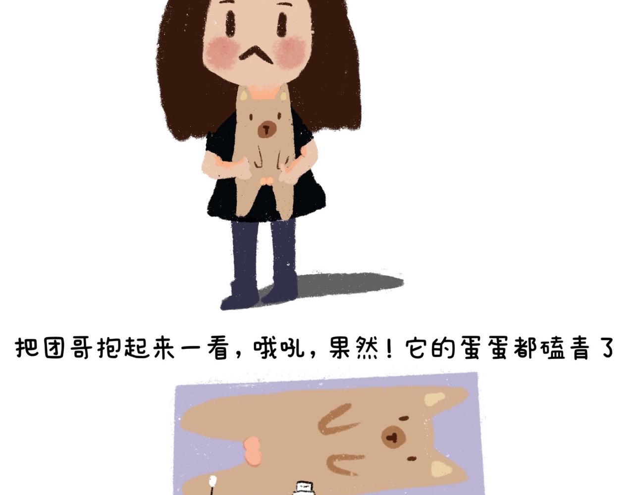 《团哥二三事》团哥二三事之实木沙发篇 第17页