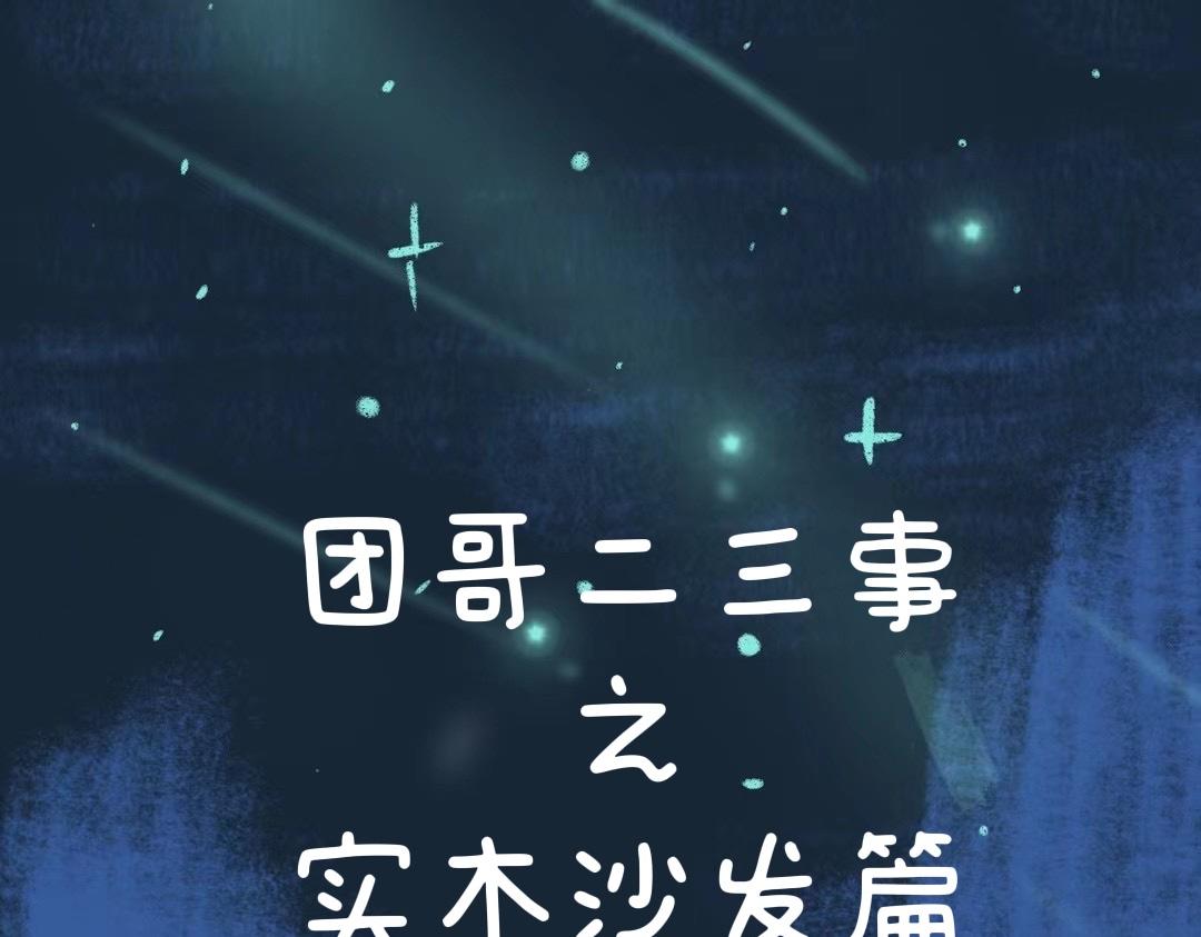 《团哥二三事》团哥二三事之实木沙发篇 第1页