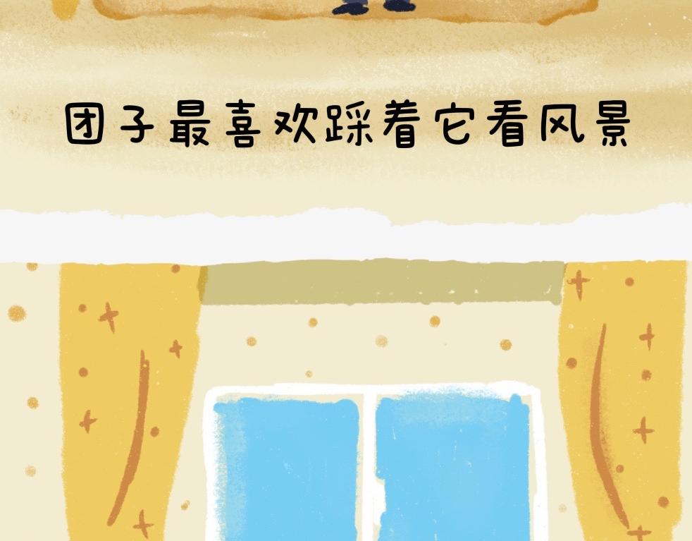 《团哥二三事》团哥二三事之实木沙发篇 第6页