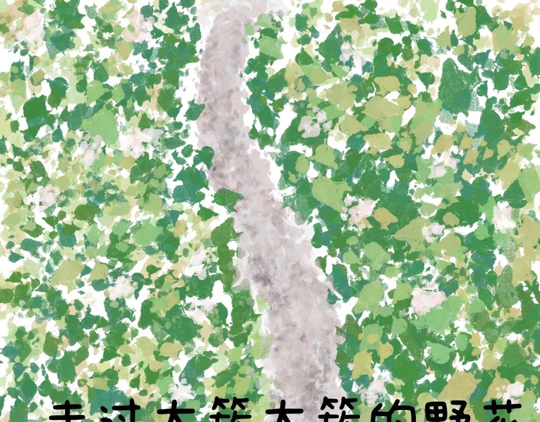 《团哥二三事》团哥二三事之可以下楼篇 第13页