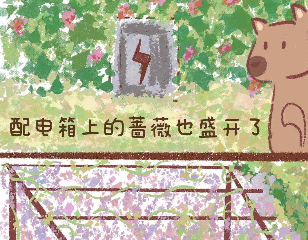 《团哥二三事》团哥二三事之可以下楼篇 第6页