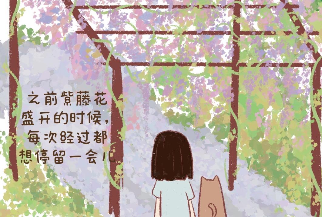 《团哥二三事》团哥二三事之可以下楼篇 第7页
