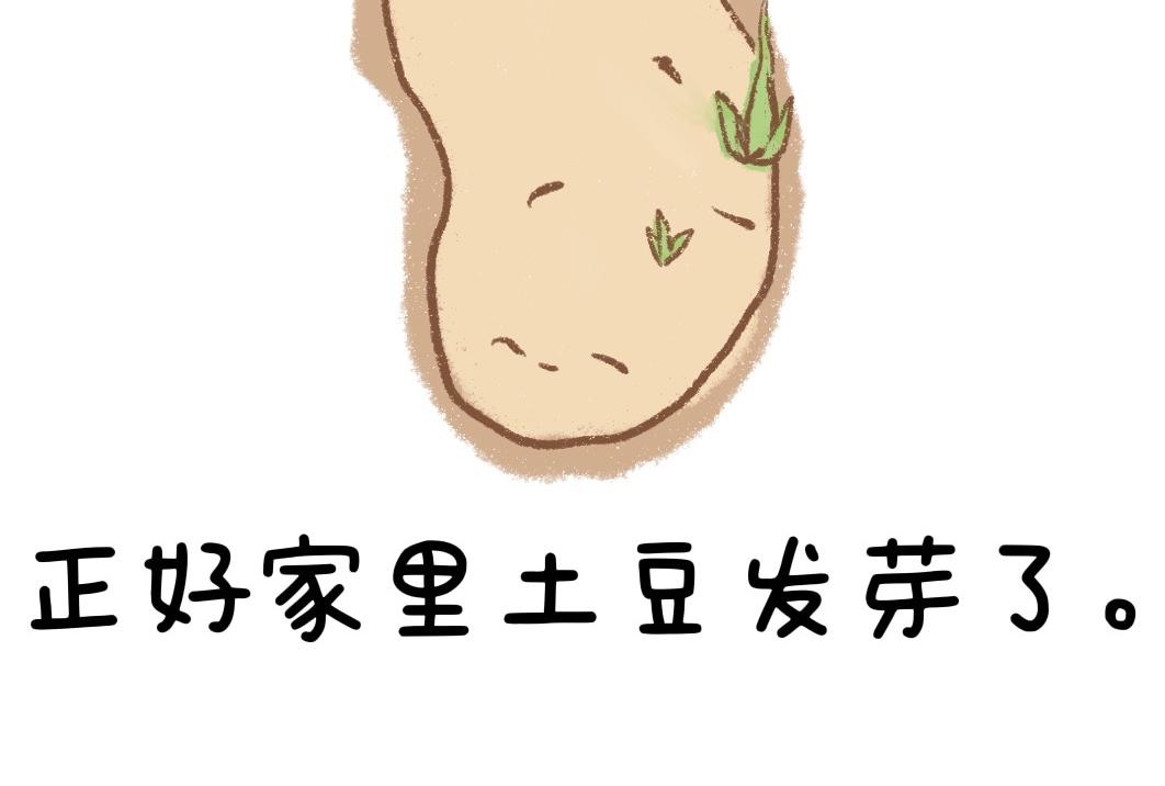 《团哥二三事》团哥二三事之狗狗厕所篇 第12页