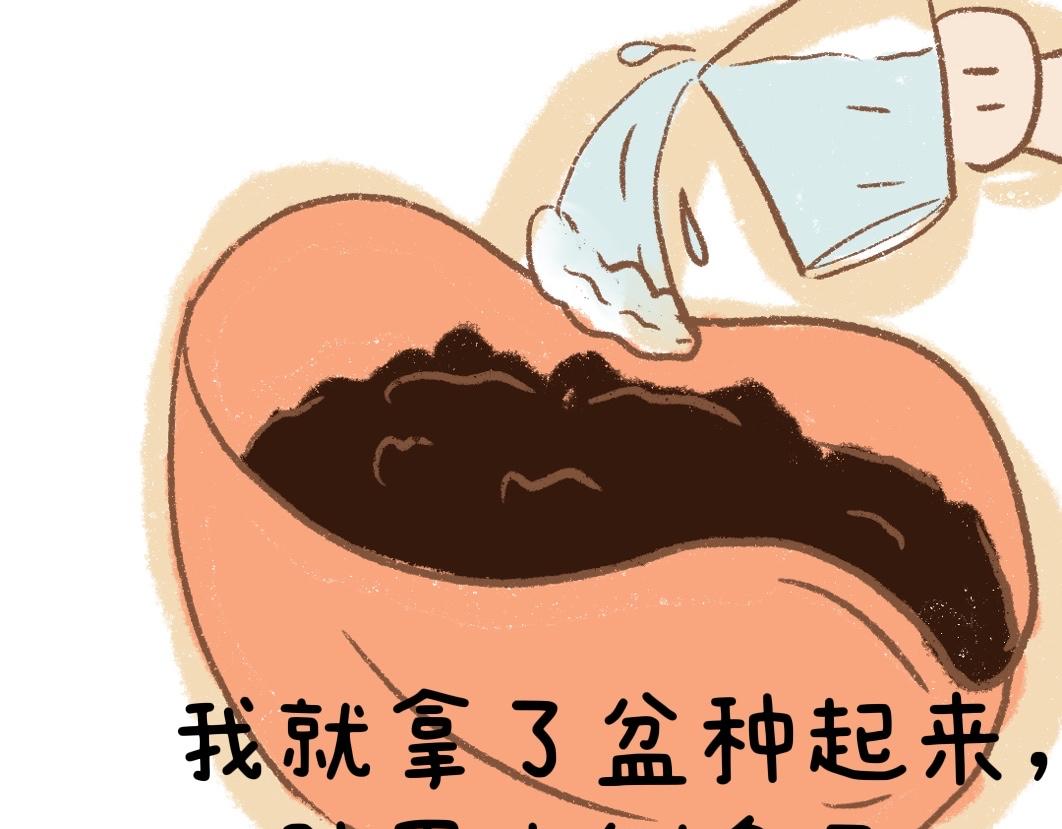 《团哥二三事》团哥二三事之狗狗厕所篇 第13页