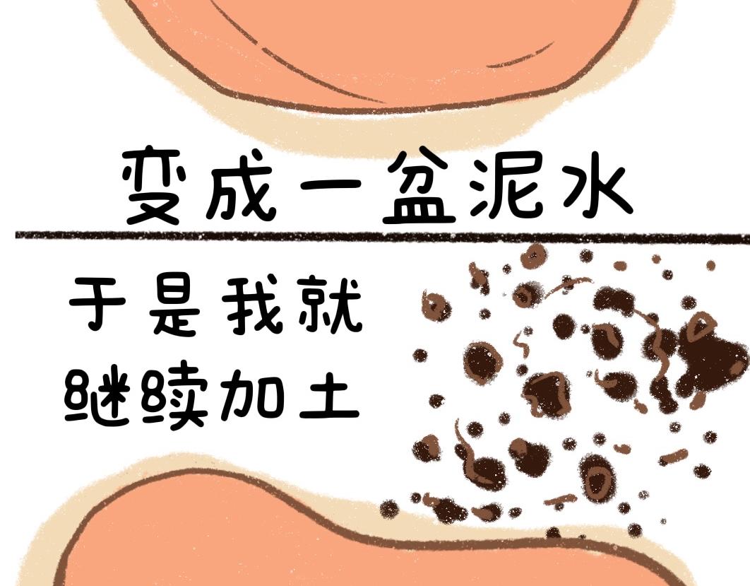 《团哥二三事》团哥二三事之狗狗厕所篇 第15页