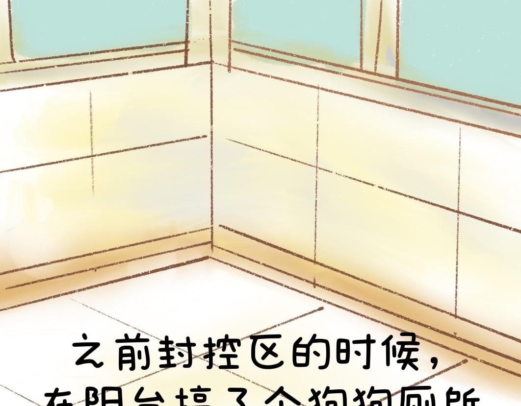 《团哥二三事》团哥二三事之狗狗厕所篇 第3页